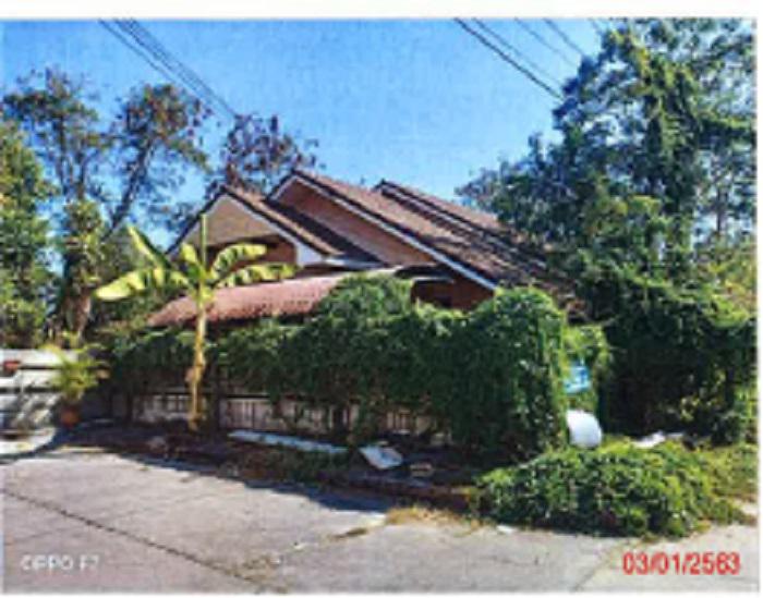639/205 หมู่บ้านหรรษา  บ้านเลื่อม เมืองอุดรธานี อุดรธานี