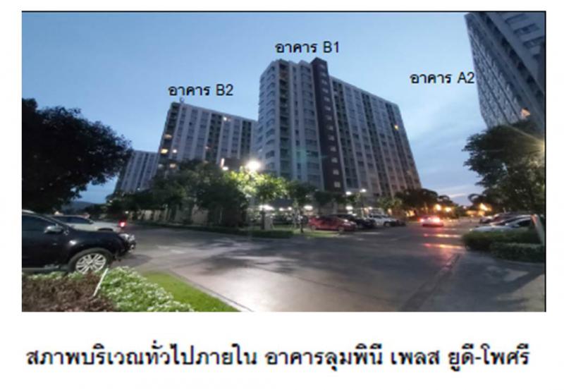 หมากแข้ง เมืองอุดรธานี อุดรธานี