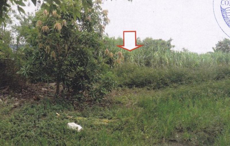 ปะโค กุมภวาปี อุดรธานี