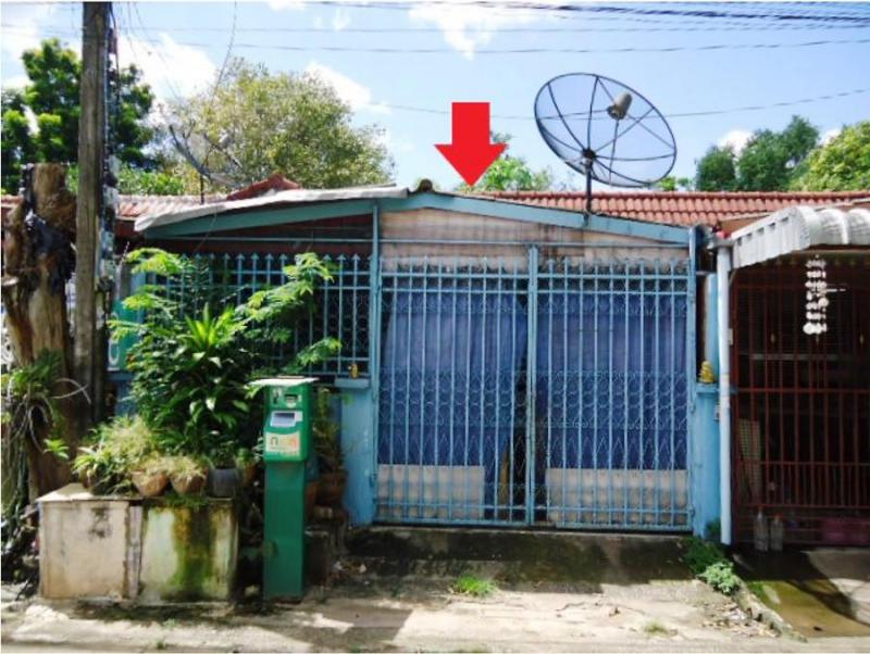 หมากแข้ง เมืองอุดรธานี อุดรธานี