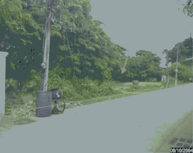 หมากแข้ง เมืองอุดรธานี อุดรธานี